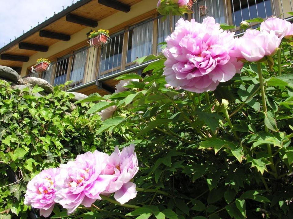 Bed and Breakfast Il Giardino Di Iside Roletto Exterior foto